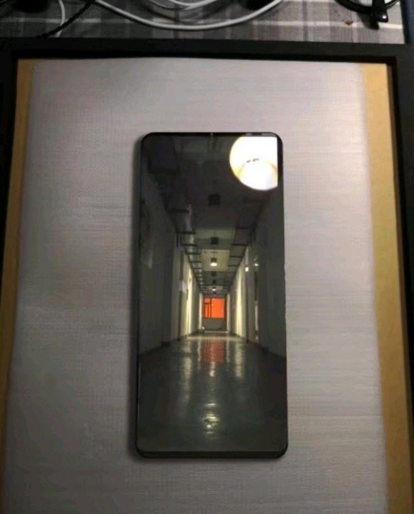 530467.jpg