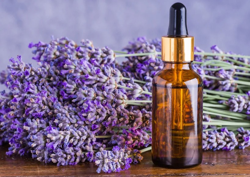 Скриншот 13-08-2025 123036.jpg