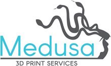 logo_medusa.jpg