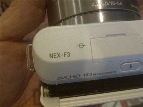 321993.jpg