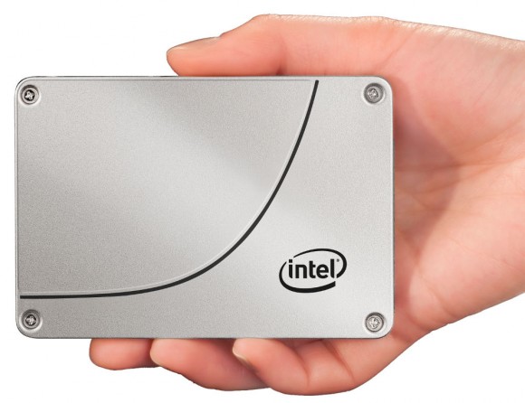 338067.jpg